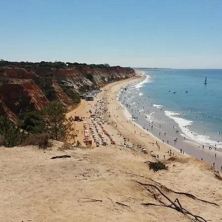 Mare Alta By Cs *